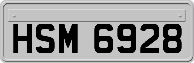 HSM6928