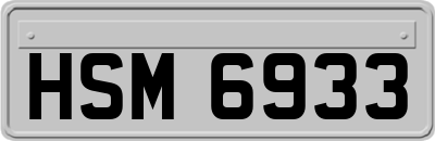 HSM6933