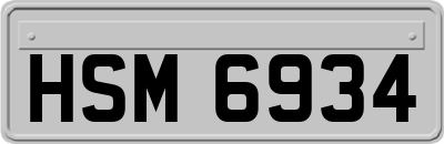 HSM6934