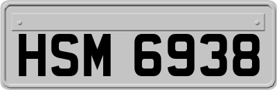 HSM6938