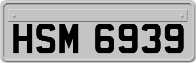 HSM6939