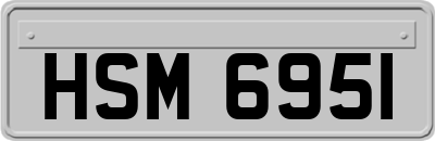 HSM6951