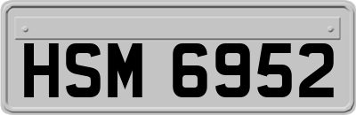HSM6952