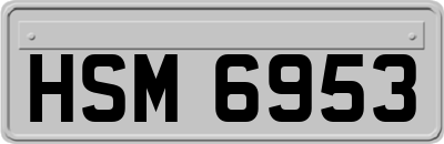 HSM6953