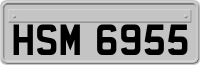 HSM6955