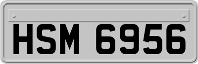 HSM6956