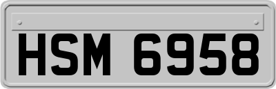 HSM6958