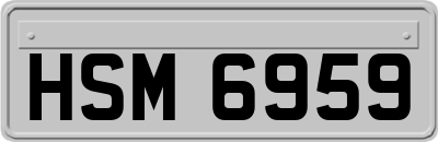 HSM6959