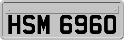 HSM6960