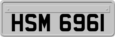 HSM6961
