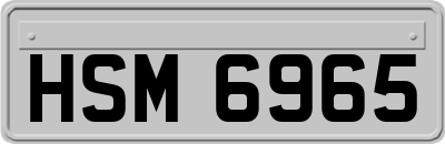 HSM6965
