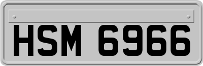 HSM6966