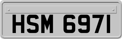 HSM6971