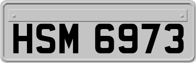HSM6973