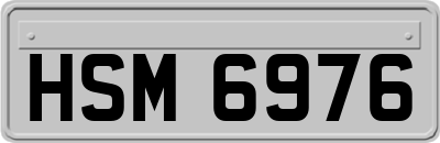 HSM6976