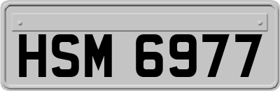 HSM6977