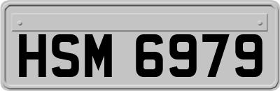 HSM6979
