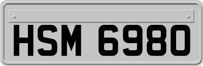 HSM6980
