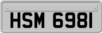 HSM6981