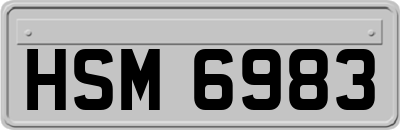 HSM6983