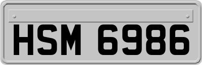 HSM6986