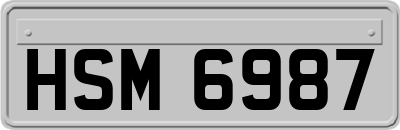 HSM6987