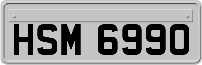 HSM6990
