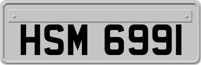 HSM6991