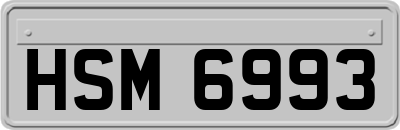 HSM6993