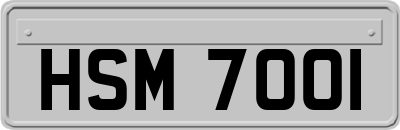 HSM7001