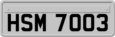 HSM7003