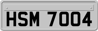 HSM7004