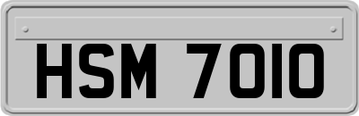 HSM7010
