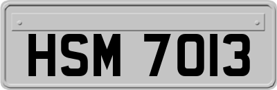 HSM7013