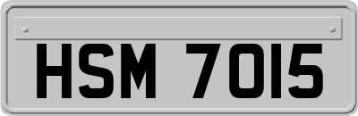 HSM7015