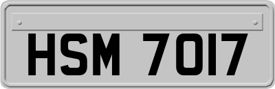 HSM7017