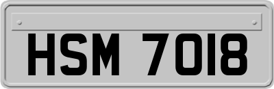 HSM7018