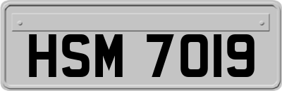 HSM7019