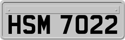 HSM7022