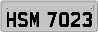 HSM7023