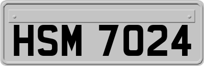 HSM7024