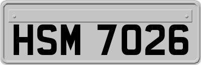 HSM7026