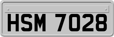 HSM7028