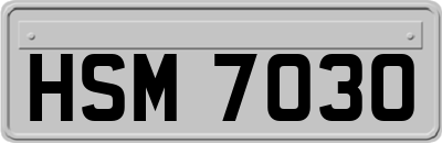 HSM7030