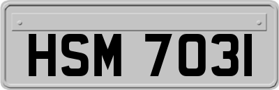 HSM7031