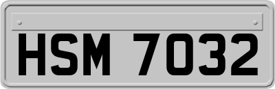 HSM7032