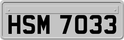 HSM7033
