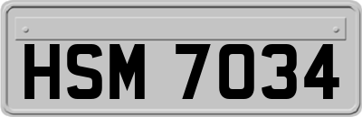 HSM7034