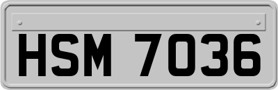 HSM7036