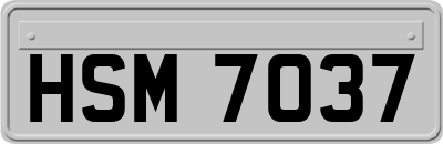 HSM7037